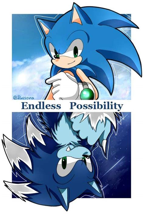 sonic the hedgehog wiki endless possibility